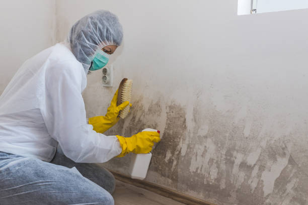 Mold Remediation for Vacation Homes in Westport Village, CT
