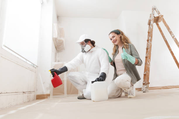 Trusted Westport Village, CT Mold Removal Experts